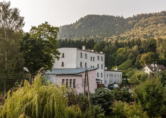 Zielony Las * Radkow